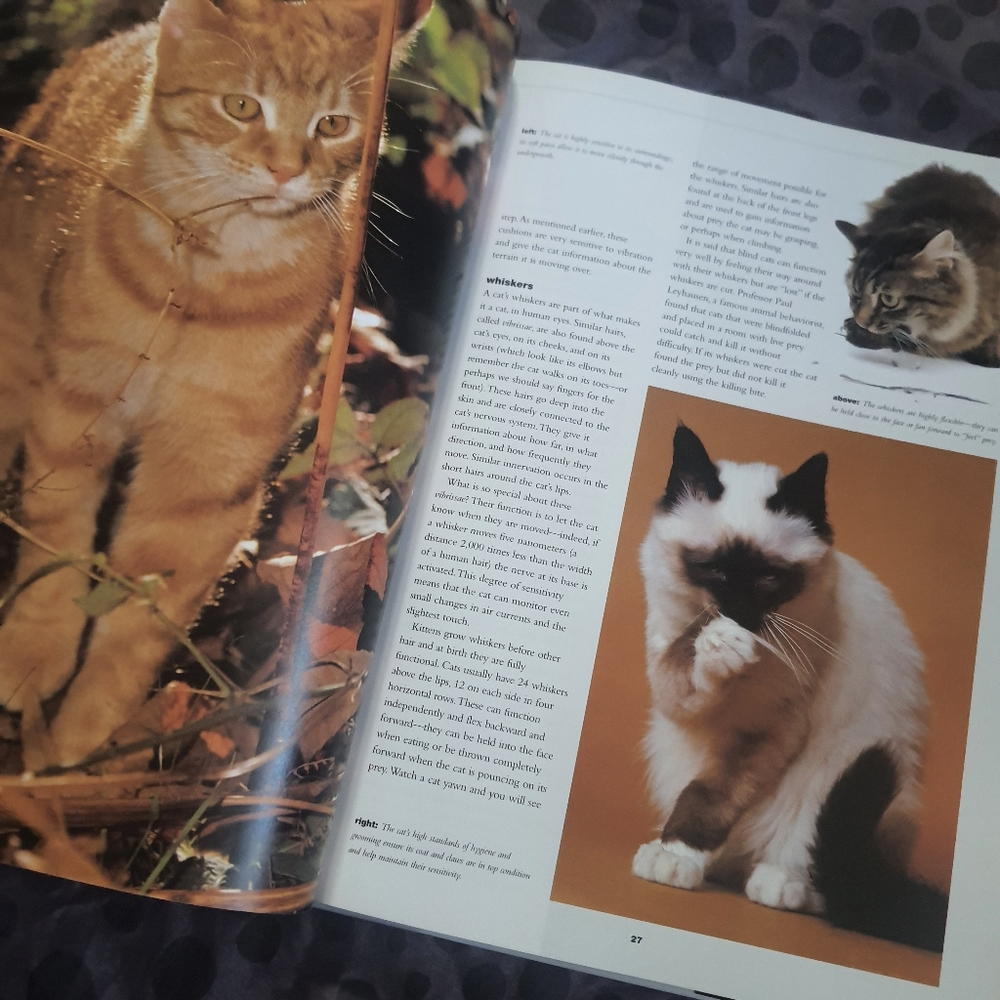 Complete Guide To Cats Coffee Table Book - Picture 4 of 7